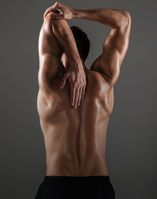 Body